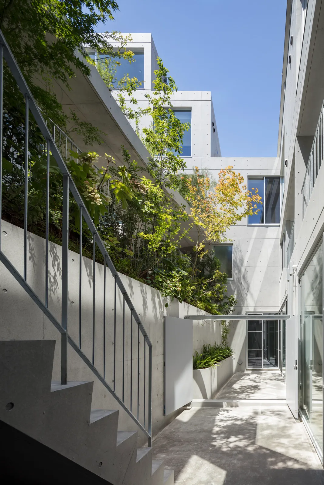 コートテラス都立大学